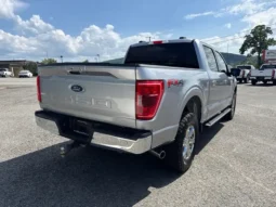 
										2021 Ford F-150 XLT full									
