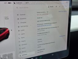 
										2022 Tesla Model Y Performance full									