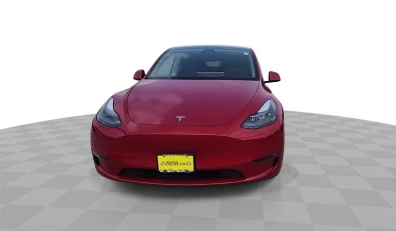 
								2023 Tesla Model Y null full									