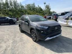 
										2024 Toyota RAV4 Adventure full									