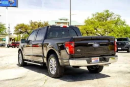 
										2025 Ford F-150 XLT full									