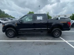 
										2026 Ford F-150 Tremor full									